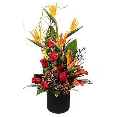 flores em vasos arranjo de flores explosao do deserto