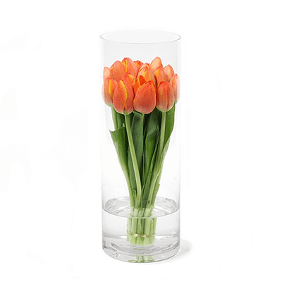 Tulipas Citrus Twist