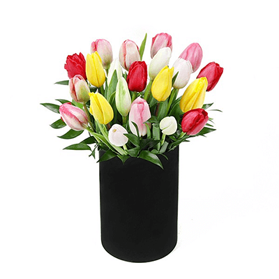 Tulipas de Manhattan